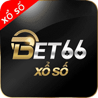 how to play sudoku game for beginners
